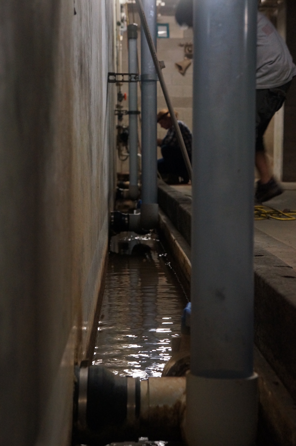 Below ground - Sampling the water draining from the bottom of the soil profile, in the basement of the rainforest biome