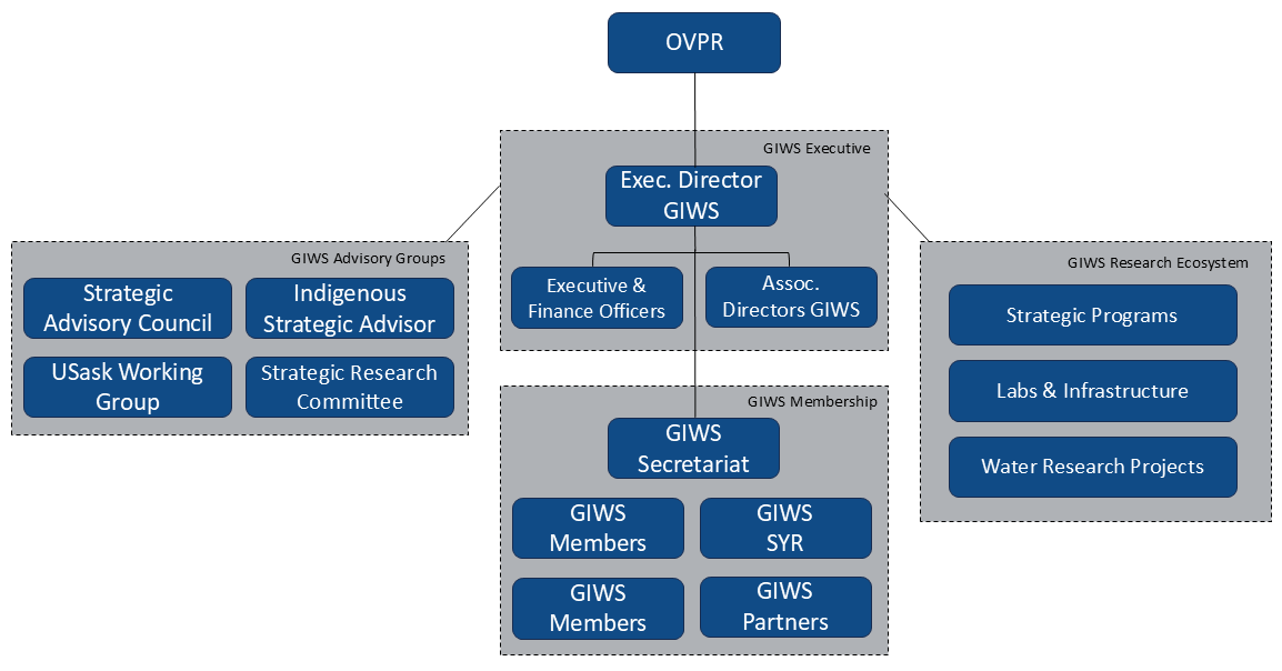 Figure 1: GIWS Governance Structure