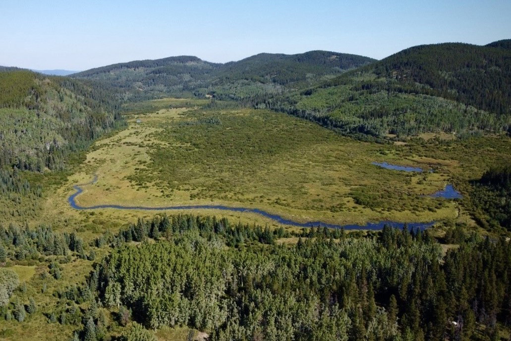 Sibbald Fen, a designated UNESCO Ecohydrology Demonstration Site in Kananaskis Country, Alberta, Canada. (Photo courtesy of Cherie Westbrook)
